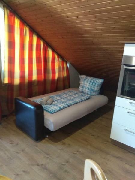 Appartment Am Waldmattensee Kippenheimweiler ภายนอก รูปภาพ